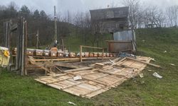 Sinop'ta kovanların yerleştirildiği arılığın rüzgarda uçması güvenlik kamerasında