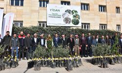 Şırnak'ta yüzde 75 hibeyle çiftçilere 25 bin 200 meyve fidanı dağıtıldı