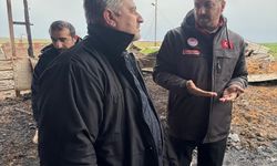 Tekirdağ'da çiftlikte çıkan yangında 100 koyun öldü