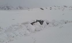 Van, Hakkari ve Bitlis'te kar ulaşımı aksattı