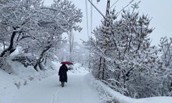 Van, Muş, Hakkari ve Bitlis'te 307 yerleşim yerine ulaşım sağlanamıyor