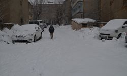 Van ve Muş'ta 68 yerleşim yerine ulaşım sağlanamıyor