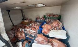 Van'da veteriner sağlık raporu bulunmayan kesilip paketlenmiş halde 200 tavuk ele geçirildi