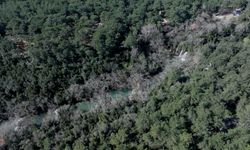 Yağışlar Antalya'da şelale ve akarsuların debisini artırdı