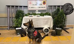 Yalova'da uyuşturucu operasyonunda yakalanan 2 zanlı tutuklandı