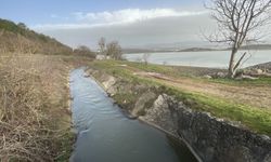 Yeniçağa Gölü'nde ve Gölköy Barajı'nda su seviyesi eriyen kar ve yağmurla yükseldi