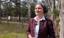 Akademisyenlerden sanal kumar bağımlılığına karşı uyarı