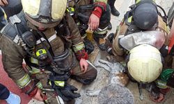 Ankara'da yangından etkilenen kediler kalp masajı ve oksijenle hayata döndürüldü