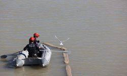 Antalya'da misinaya dolanan martıyı itfaiye kurtardı