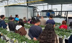 Antalya'da üniversite öğrencileri çilek üretim tesisinde 'topraksız tarım'la tanıştı