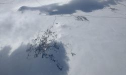 Ardahan ve Kars'ın yükseklerinde kar etkili oldu