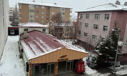 Ardahan ve Kars'ta kar, Erzurum'da karla karışık yağmur etkili oldu