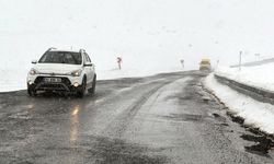 Ardahan ve Kars'ta yoğun kar ulaşımı aksattı