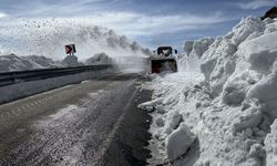 Ardahan'da kar nedeniyle 3,5 aydır kapalı olan yol açılıyor