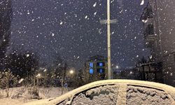 Ardahan'da kar yağışı etkili oldu