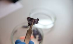 Atık ısıyı elektrik enerjisine çeviren, endüstriyel üretime uygun nano seramik folyo geliştirildi