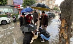Aydın'da kazada yaralanan motosikletli kadına vatandaşlardan 'insanlık' şemsiyesi