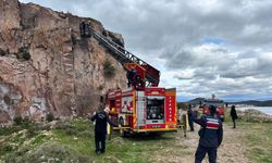 Balıkesir'de kayalıklarda mahsur kalan keçiyi itfaiye kurtardı