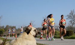 Balkan Yürüyüş Şampiyonası, İzmir'de gerçekleştirildi