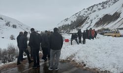 Bingöl'de Karlıova-Yedisu kara yolu çığ nedeniyle ulaşıma kapandı