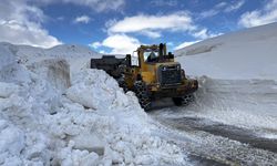 Bitlis'te baharda da metrelerce karla mücadele sürüyor