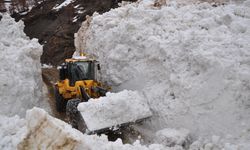 Bitlis'te çığın düştüğü köy yolunda çalışma başlatıldı