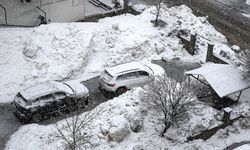 Bitlis'te kar etkili oldu