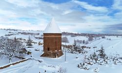 Bitlis'te tarihi yapılar karla kaplandı