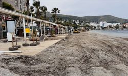Bodrum'da sahildeki tahliye ve yıkım işlemleri devam ediyor