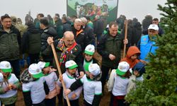 Bursa, Çanakkale ve Balıkesir'de fidanlar toprakla buluşturuldu