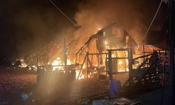 Bursa'da çiftlikte çıkan yangında çok sayıda kanatlı hayvan telef oldu