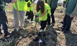 Bursa'da yaklaşık 10 bin fidan toprakla buluşturuldu