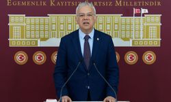 CHP'li Pala, Türkiye'de yenilikçi ilaçlara erişim oranını eleştirdi