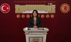 DEM Parti Grup Başkanvekili Koçyiğit, gündemi değerlendirdi: