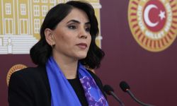 DEM Parti milletvekilleri Meclis'te basın toplantısı düzenledi