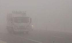 Denizli'de sis ulaşımda aksamalara neden oldu