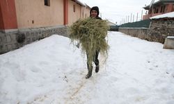 Devlet desteğiyle besi çiftliği kuran girişimci kadın hayvan sayısını artırmayı hedefliyor