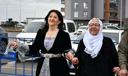 Doğu ve Güneydoğu'daki 5 ilde nevruz etkinliği düzenlendi