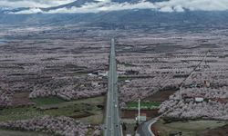 'Dünya kayısı başkenti' Malatya beyaz gelinliğini giydi