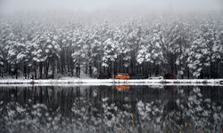 Düzce'deki Topuk Yaylası karla kaplandı