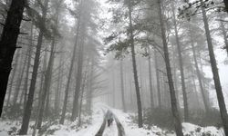 Düzce'nin yüksek kesimlerinde kar etkili oldu