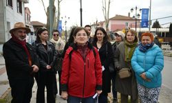 Edirne'de çevreciler belediyenin ağaç budama yöntemine tepki gösterdi