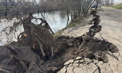 Edirne'de Tunca Nehri kıyısında toprak kayması meydana geldi