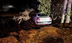 Elazığ'da yoldan çıkan otomobildeki 4 kişi yaralandı