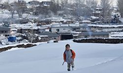 Erzurum, Ardahan, Kars ve Ağrı'da dondurucu soğuk hava etkili oluyor