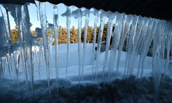 Erzurum, Ardahan ve Kars'ta dondurucu soğuklar etkili oluyor