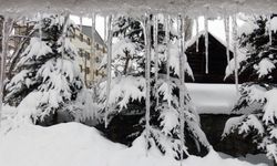 Erzurum, Ardahan ve Kars'ta soğuk hava etkisini sürdürüyor