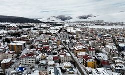 Erzurum, Kars ve Ardahan'da kar ile soğuk hava etkili oluyor