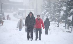Erzurum ve Erzincan'da 339 yerleşim yerine ulaşım sağlanamıyor