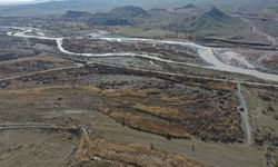Göç yolunun önemli duraklarından Iğdır'da kuş hareketliliği başladı